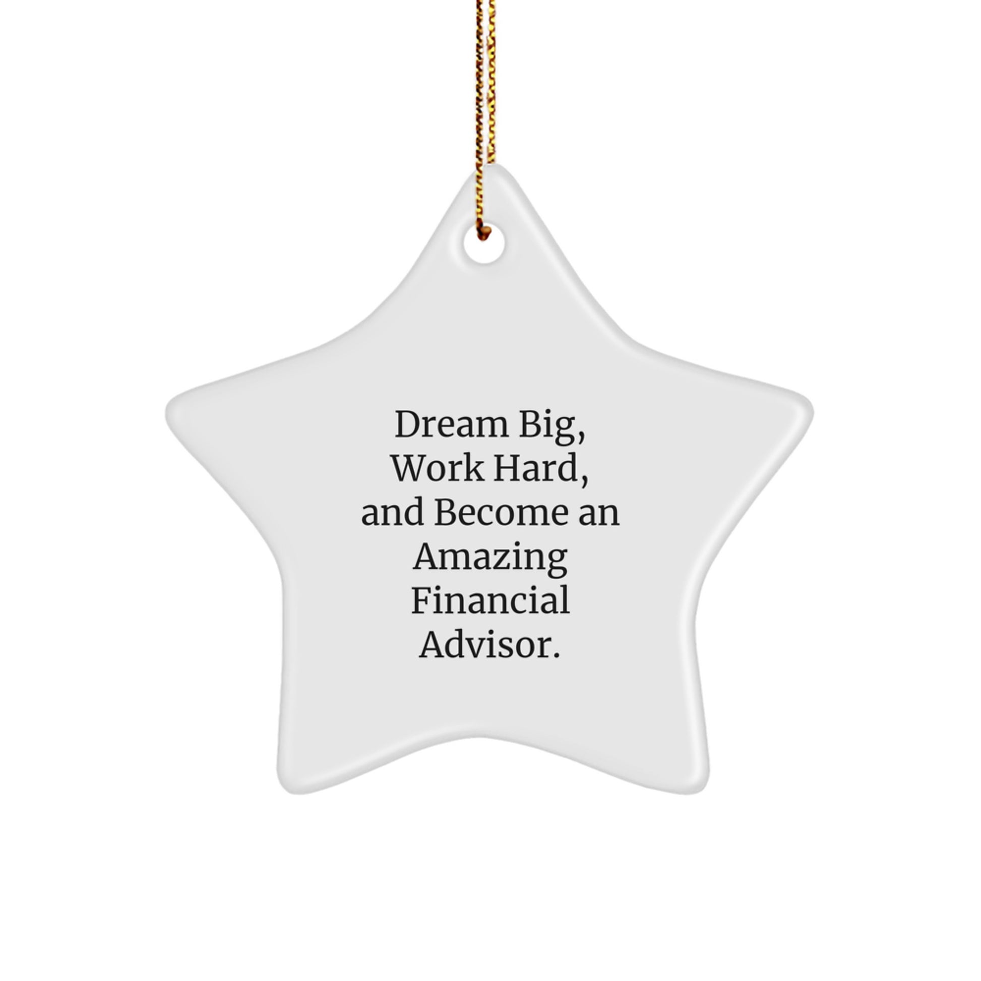 Funny Financial Advisor Gifts from Men to Women - Dream Big Star Ornament for Christmas Unique Presents - Image 1