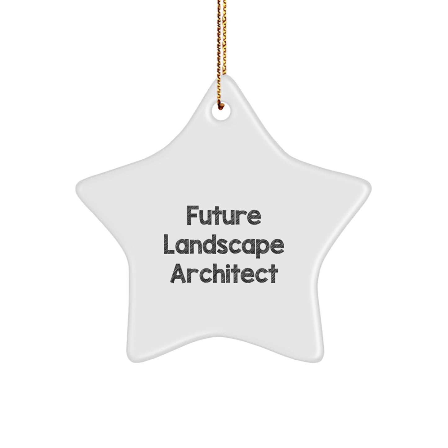 Funny Future Landscape Architect Gifts from Family - Landscape Architect Star Ornament, Inspirational Star Shaped Decorations for Christmas Unique Gifts - Image 1