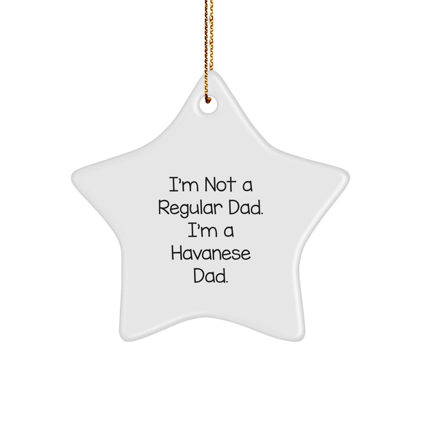 Havanese Dad Gifts, Funny Star Ornament for Men, Women, Friends, Coworkers, Family - 'I'm Not A Regular Dad. I'm A Havanese Dad.' Christmas Unique Gifts from Men to Havanese Dog Lovers - Image 1