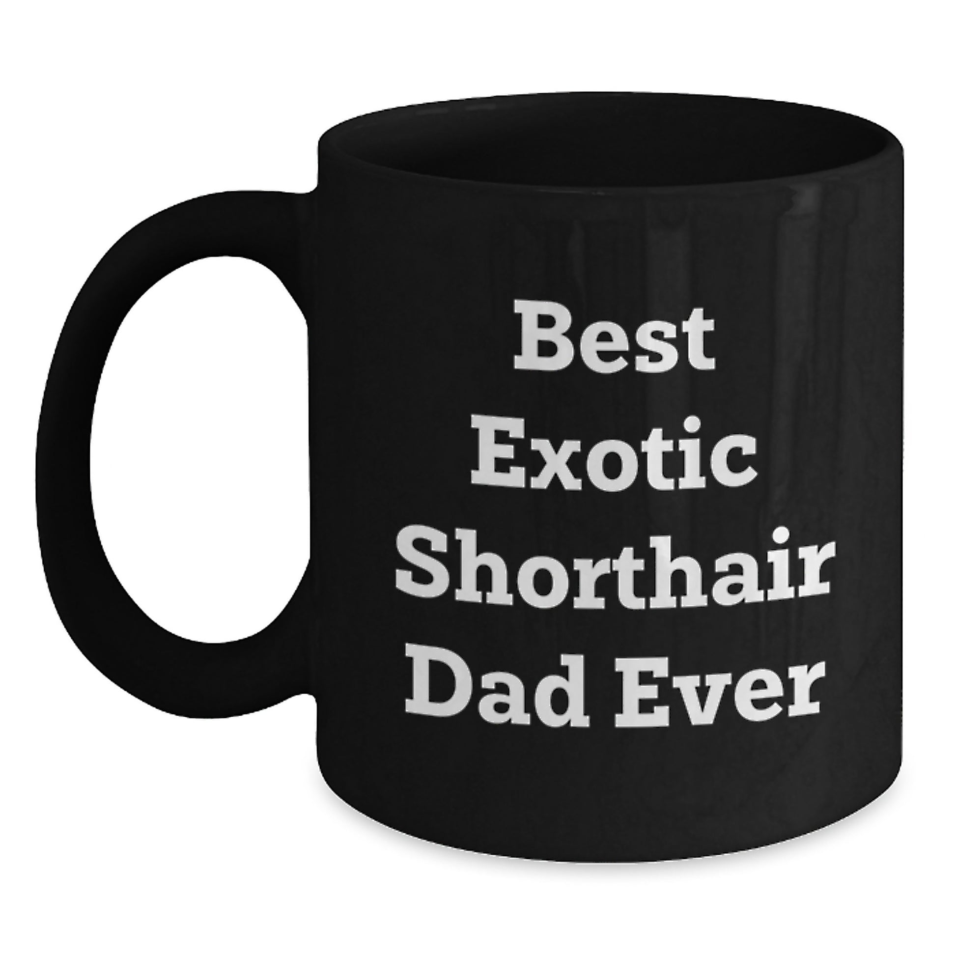  Funny Exotic Shorthair Cat Father's Day Black Coffee Mug Gifts from Best Dad Ever - Main