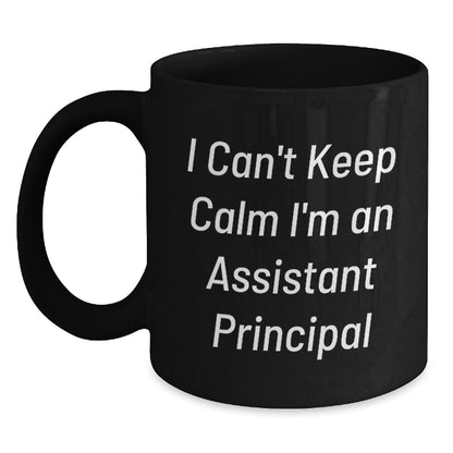 Funny I'm An Assistant Principal Gifts from Friends for Assistant Principal Christmas Unique - Main