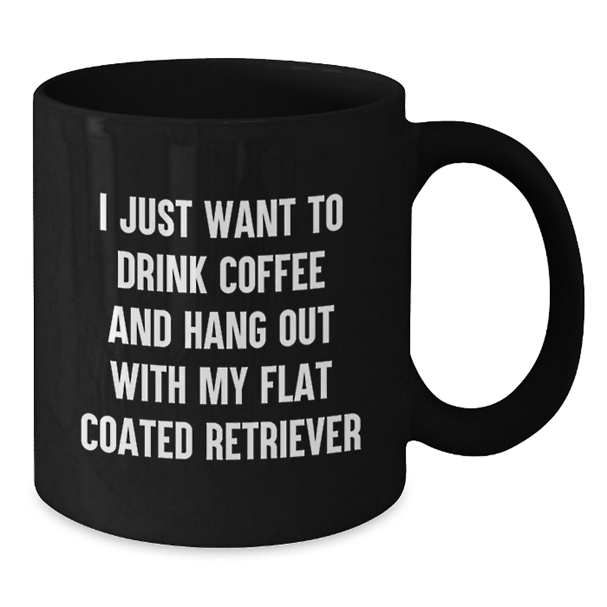 Funny Flat Coated Retriever Dog Gifts from Friends for Birthday Black Coffee Mug I Just Want To Drink Coffee And Hang Out With My Flat Coated Retriever - Additional
