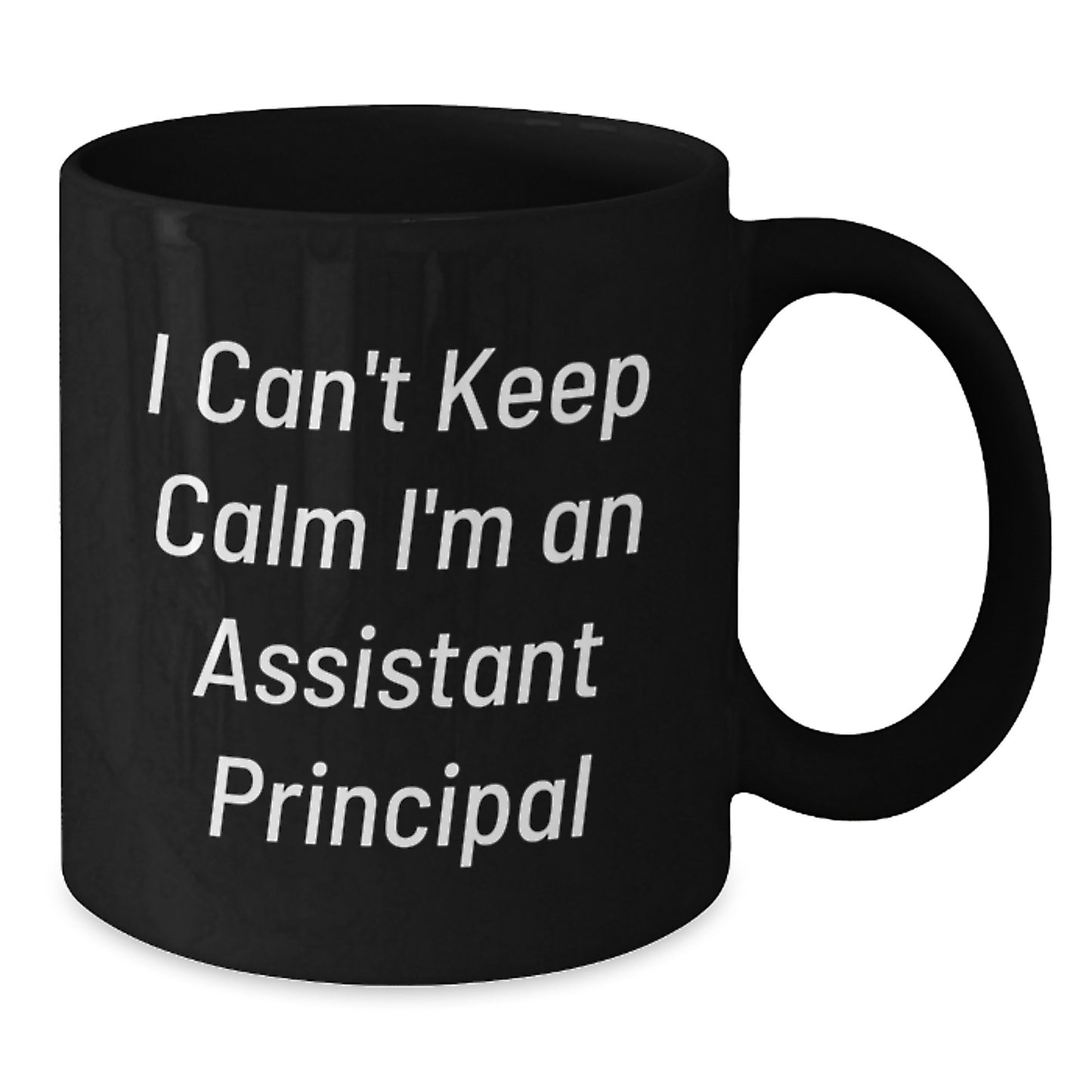 Funny I'm An Assistant Principal Gifts from Friends for Assistant Principal Christmas Unique - Additional