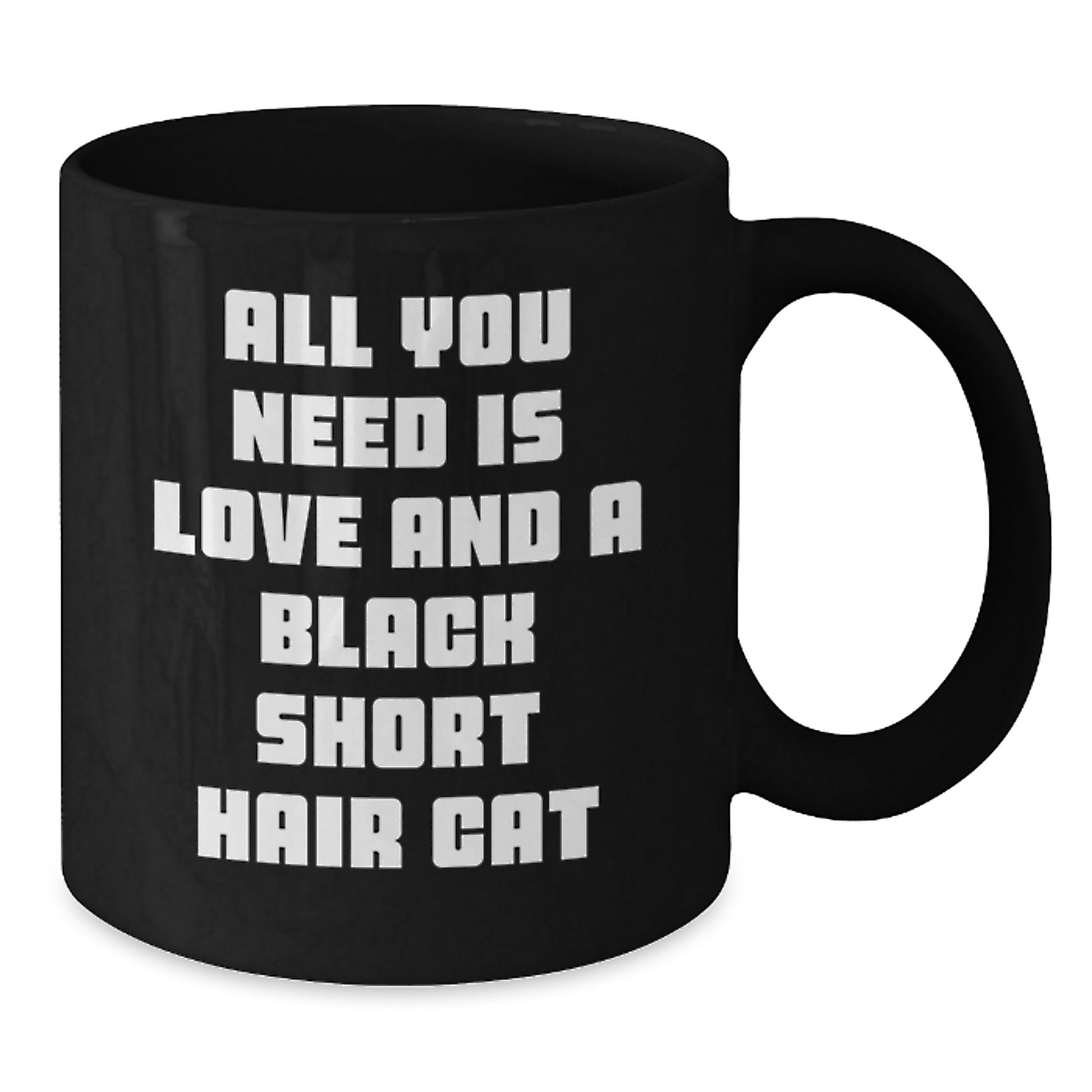 Funny Black Short Hair Cat Love Quotes Gifts from Family for Black Short Hair Cat Lovers on Birthday Unique Gifts, Black Coffee Mug - Additional