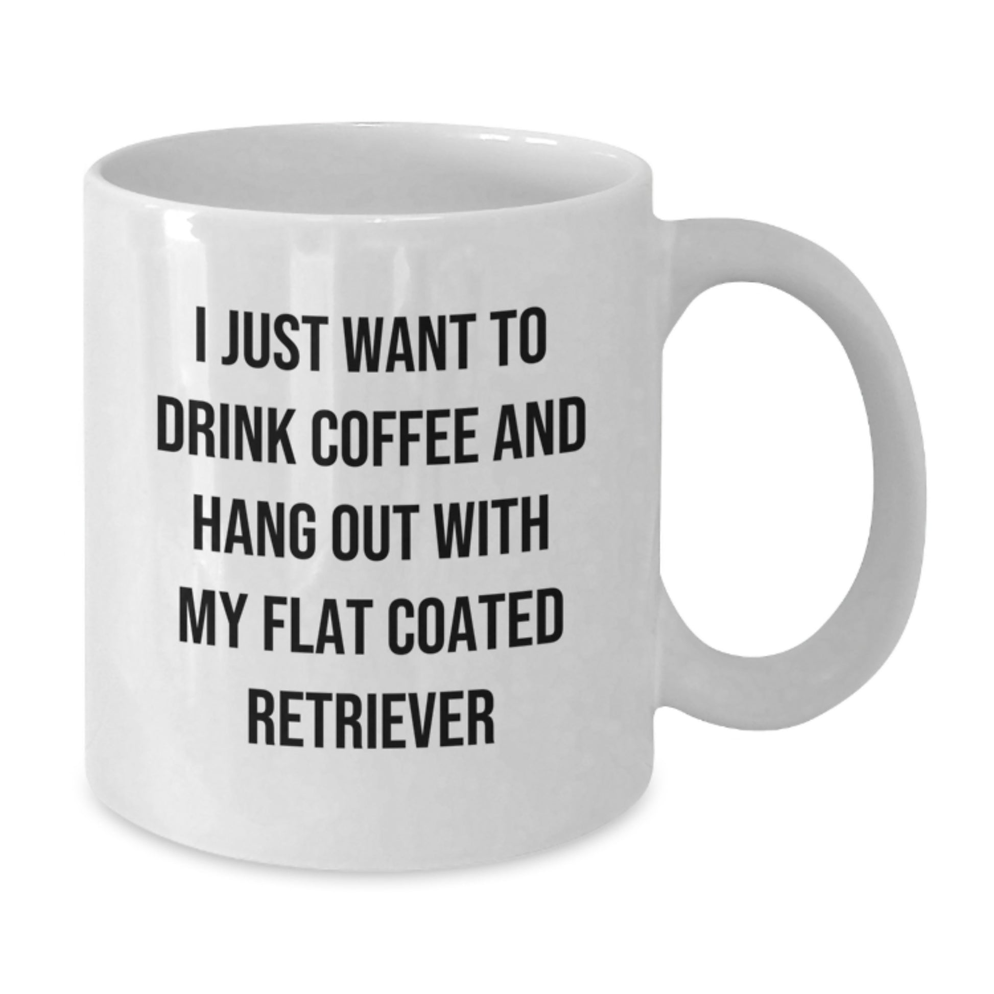 Funny Flat Coated Retriever Dog Gifts from Friends for Birthday - White Coffee Mug, I Just Want To Drink Coffee And Hang Out With My Flat Coated Retriever - Additional