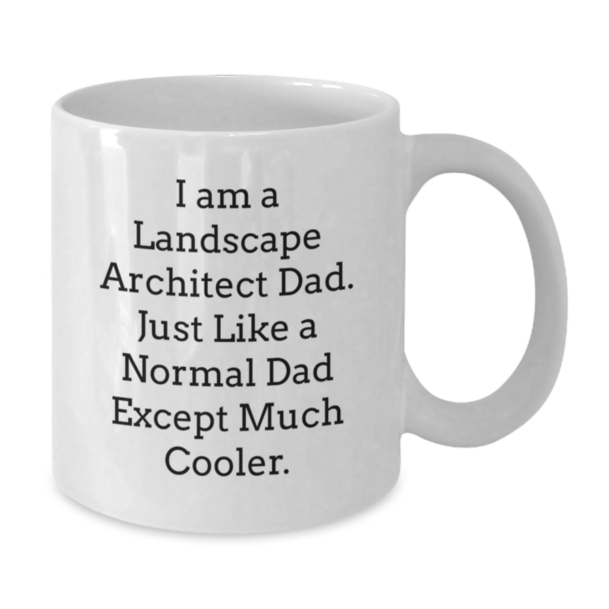 Landscape Architect Dad Gifts from Family Funny White Coffee Mugs for Christmas Unique Gifts - Additional