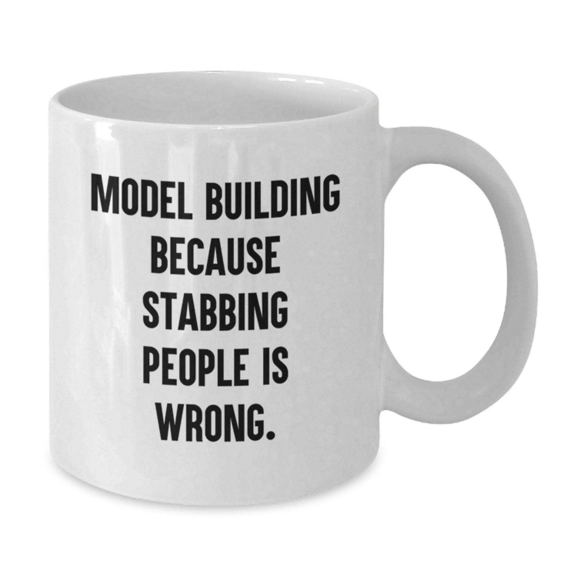 Funny Model Building Humor White Coffee Mug Gifts from Friends for Model Building Enthusiasts on Christmas Morning - Additional