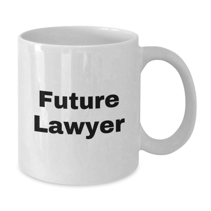 Funny Lawyer Gifts for Men Women Coworkers, Future Lawyer White Coffee Mug, White Ceramic Lawyer Mug for Christmas - Additional