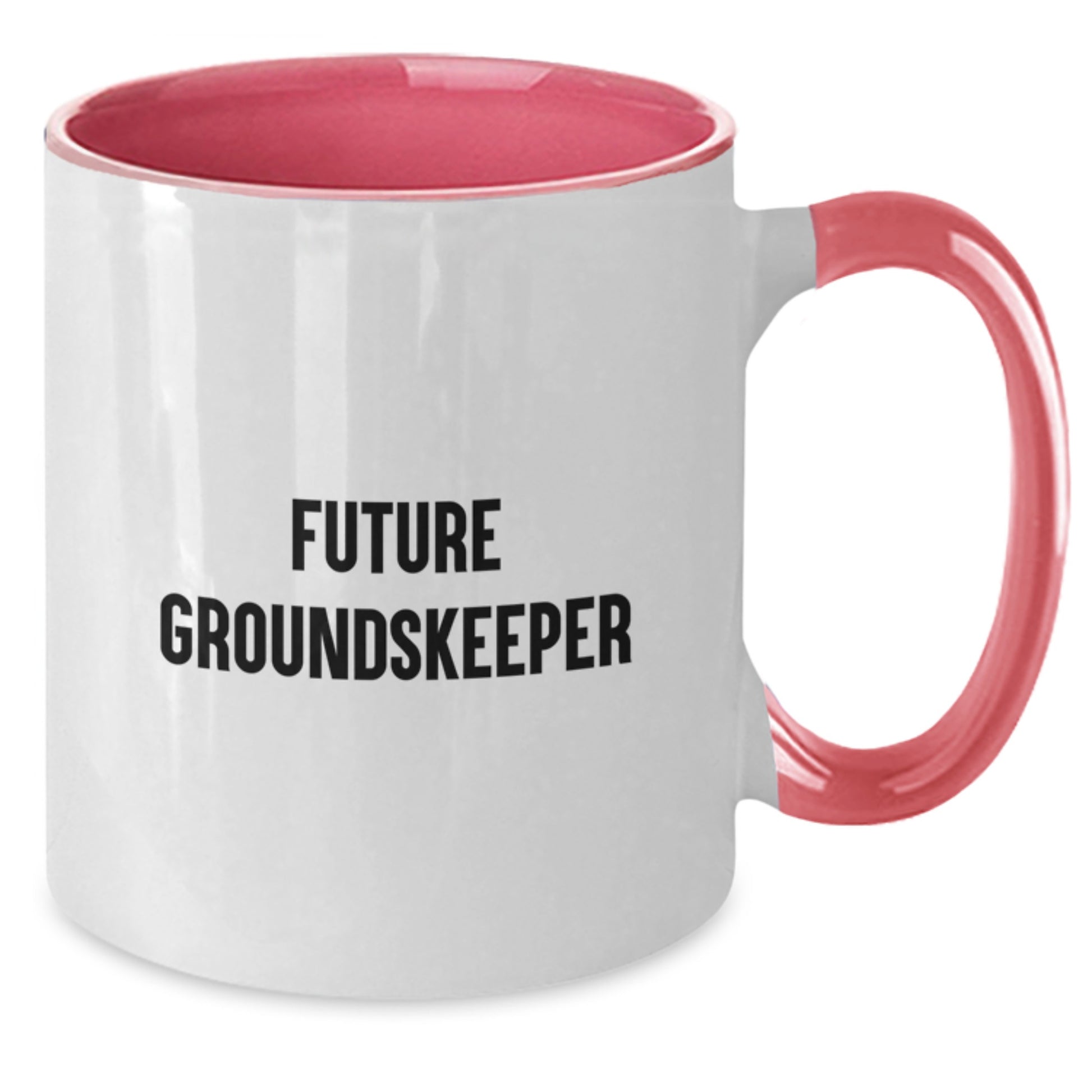 Funny groundskeeper Gifts from Friends, Unique Christmas Memorable Presents for groundskeeper, Two Tone Coffee Mug with Quote - 'Future groundskeeper' - Additional