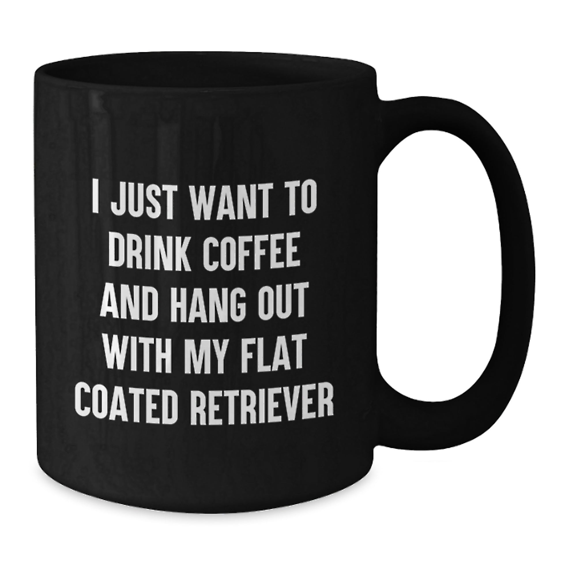 Funny Flat Coated Retriever Dog Gifts from Friends for Birthday Black Coffee Mug I Just Want To Drink Coffee And Hang Out With My Flat Coated Retriever - Additional