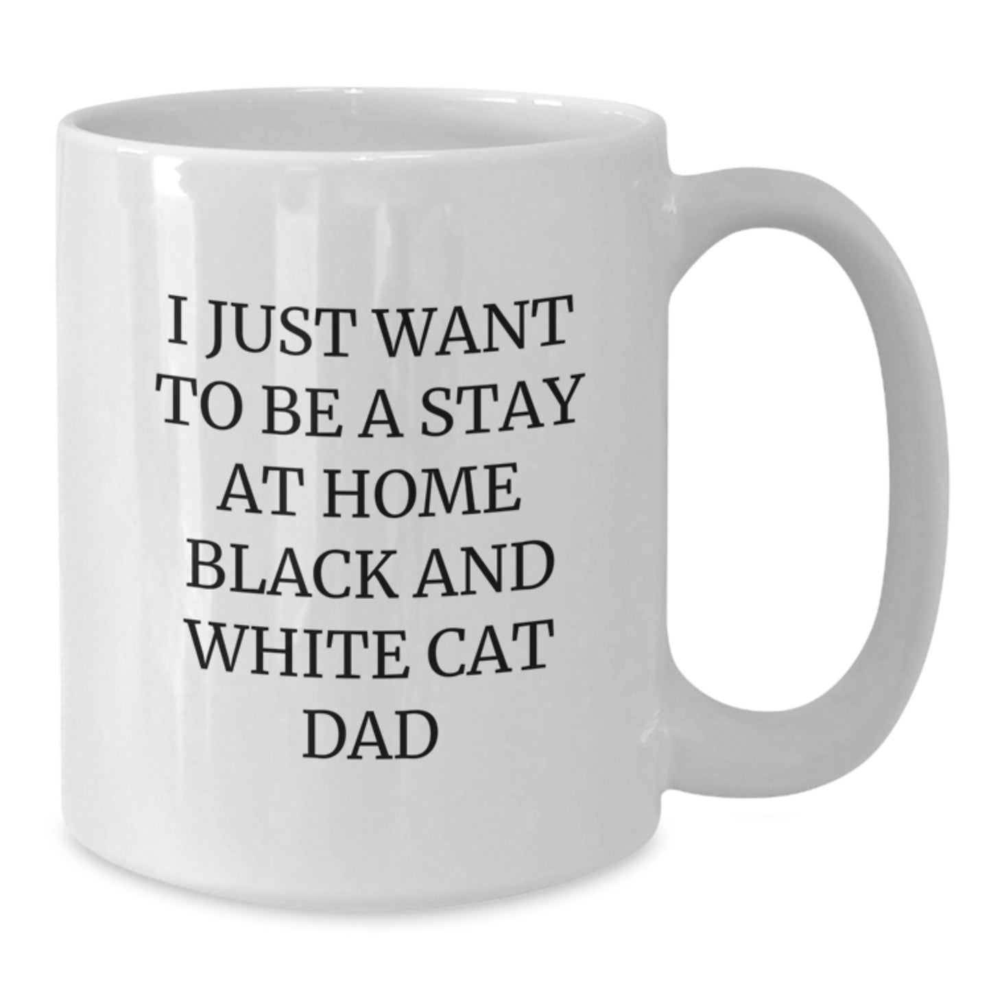 Black and White Cat Christmas Unique Gifts Funny White Coffee Mugs for Friends, Family, and Men from Stay At Home Dad - Additional