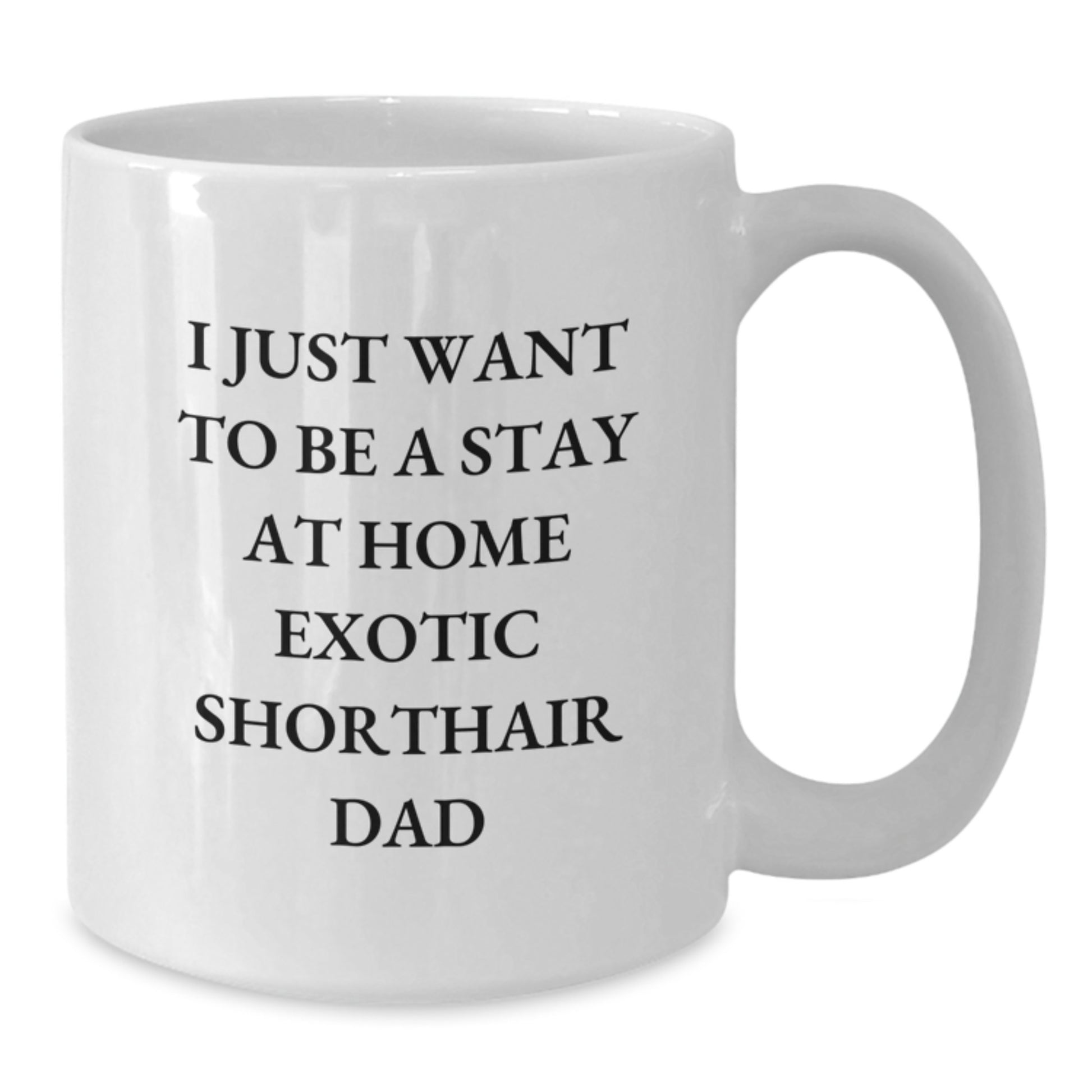 Exotic Shorthair Cat Dad Funny White Coffee Mug Gifts for Men Exotic Shorthair Cat Owners from Dad - Additional