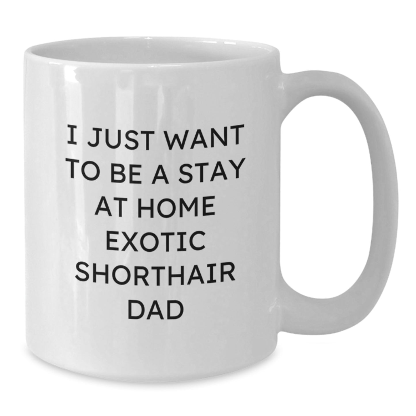 Funny Exotic Shorthair Cat White Coffee Mugs Gifts from Dad for Exotic Shorthair Cat Lovers Christmas Unique - Additional
