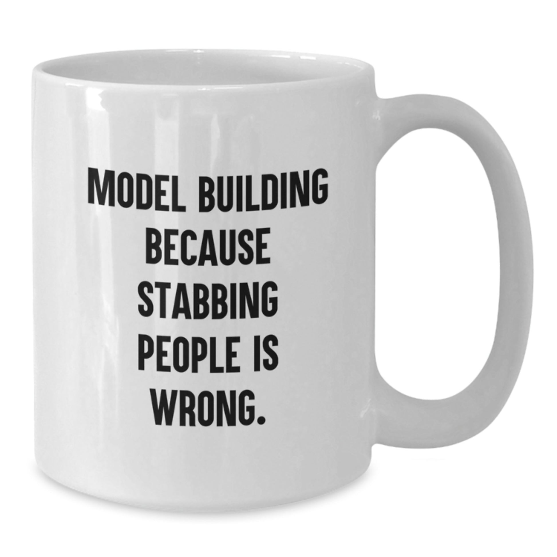Funny Model Building Humor White Coffee Mug Gifts from Friends for Model Building Enthusiasts on Christmas Morning - Additional