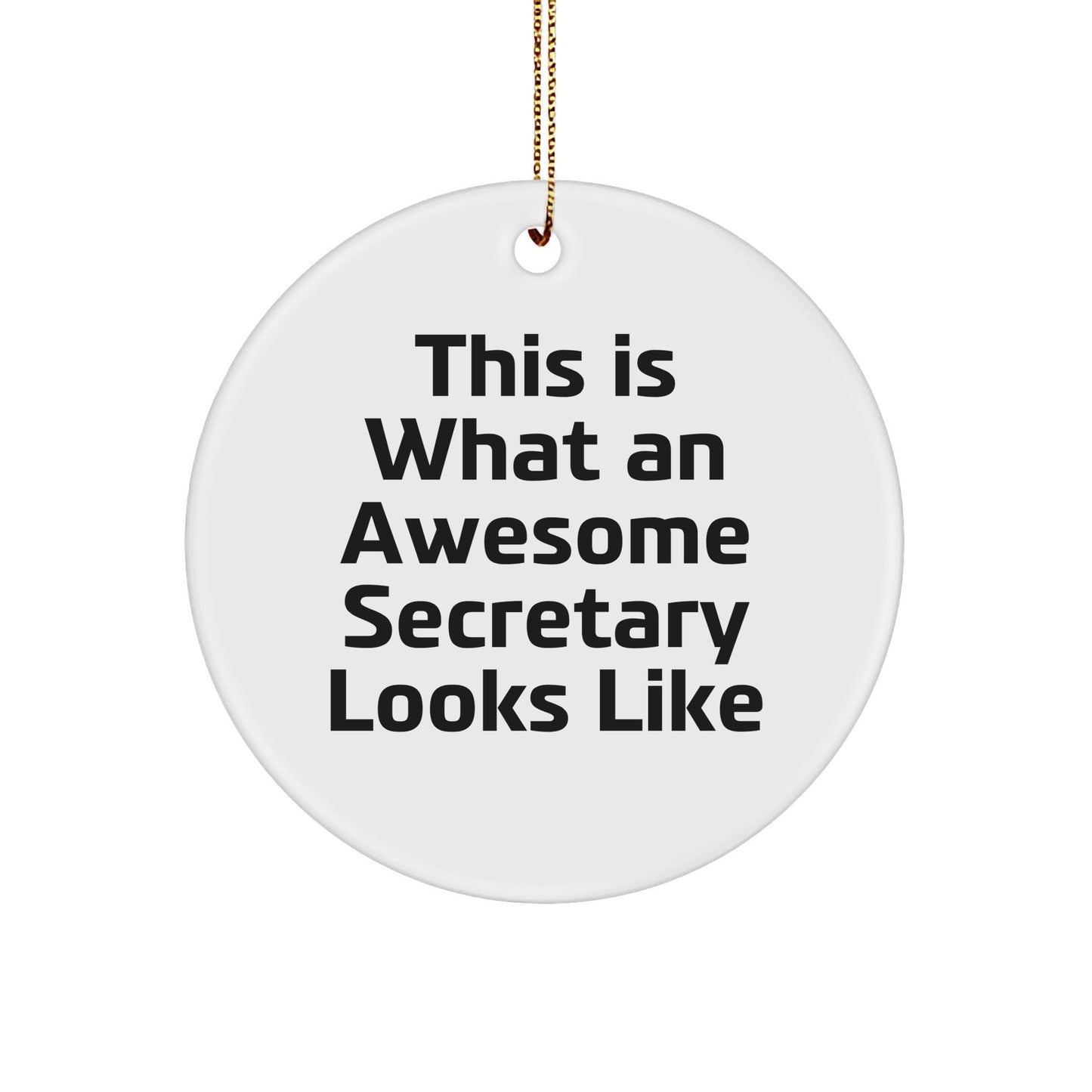 Funny Secretary Gifts from Family, This Is What An Awesome Secretary Looks Like, Circle Ornament for Christmas