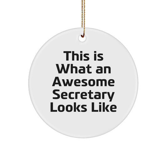 Funny Secretary Gifts from Family, This Is What An Awesome Secretary Looks Like, Circle Ornament for Christmas