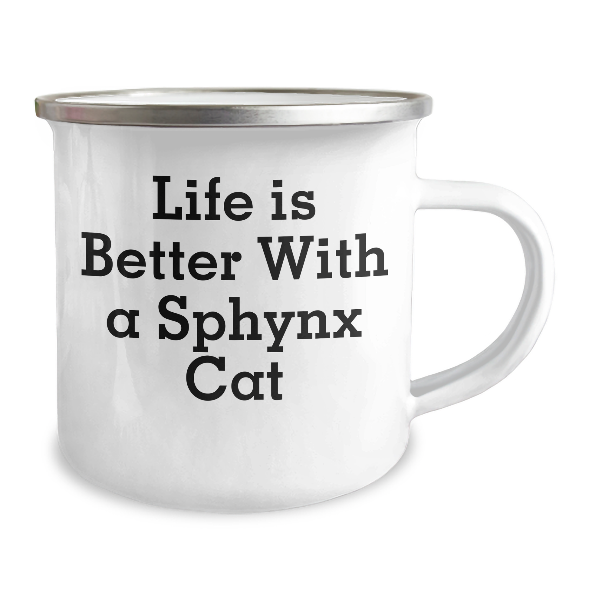 Sphynx Cat Lover Gifts, Funny Quote Mug for Dad, Father's Day Unique Gifts from Friends, 12 oz Stainless Steel Camping Mug - Victory Thru Vision 