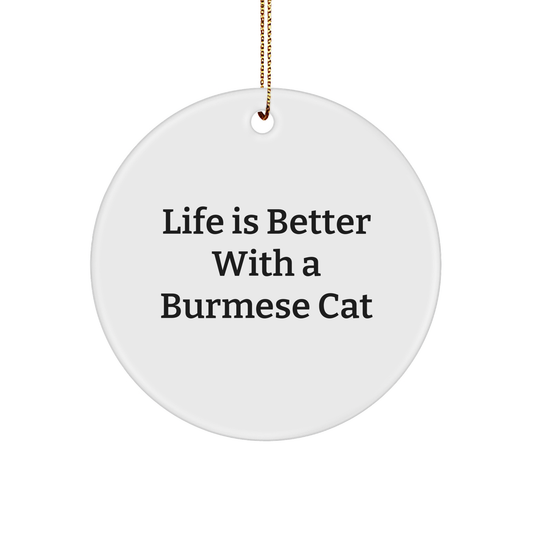 Funny Burmese Cat Gifts from Friends for Christmas Unique Circle Ornaments with Life Is Better Quote - Victory Thru Vision