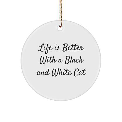 Black and White Cat Gifts from Friends, Christmas Unique Circle Ornaments for Men, Women, Family, and Friends - Life Is Better with a Black and White Cat - Victory Thru Vision 