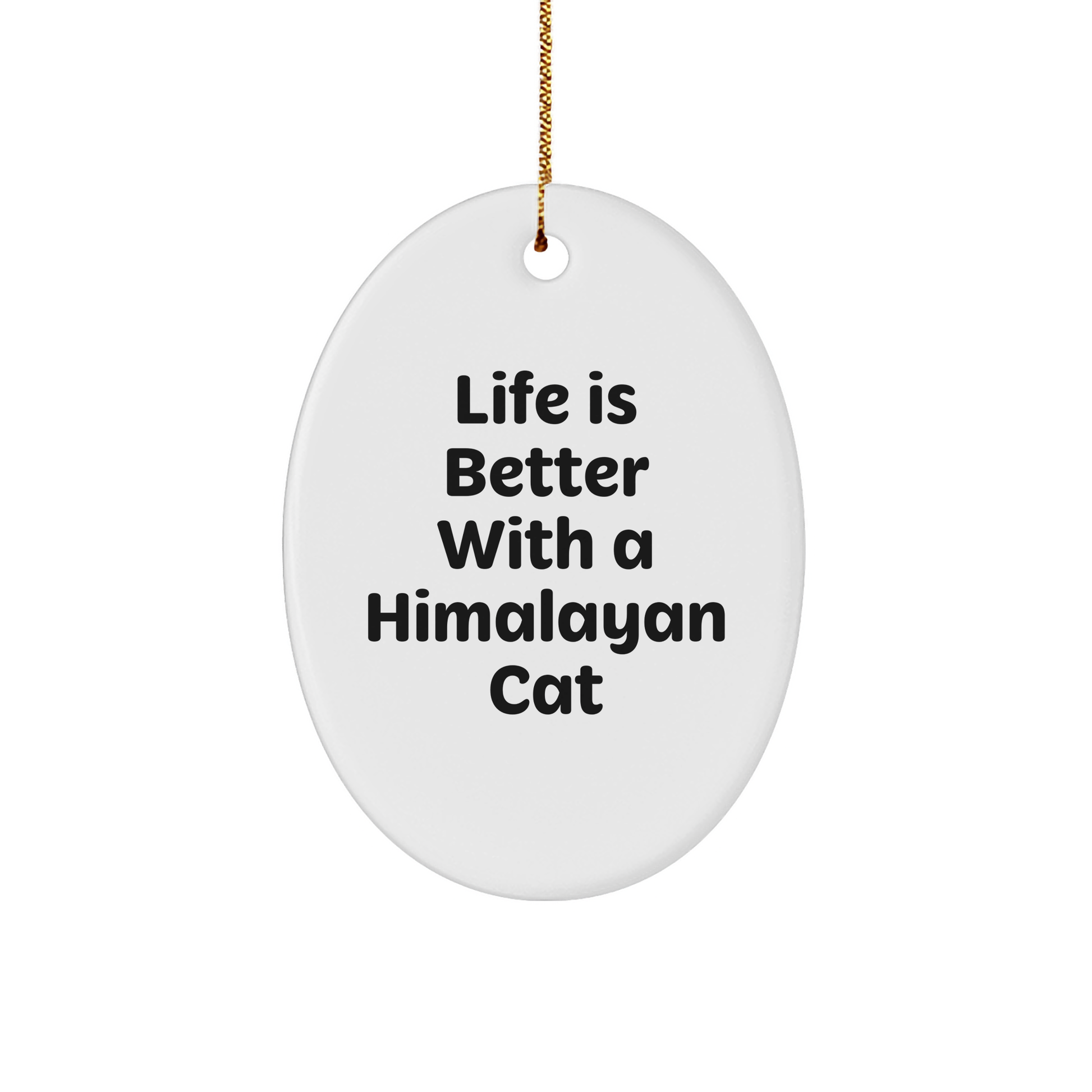 Himalayan Cat Lovers Gifts from Family, Funny Oval Ornament for Christmas Unique Gifts - Victory Thru Vision 