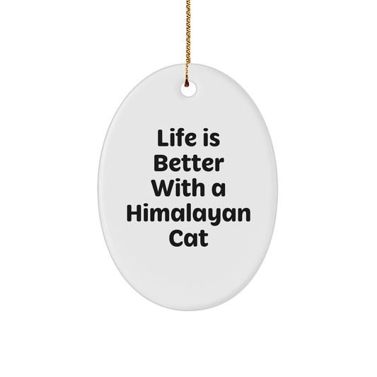 Himalayan Cat Lovers Gifts from Family, Funny Oval Ornament for Christmas Unique Gifts - Victory Thru Vision 