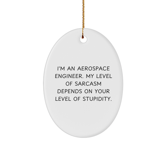 Aerospace Engineer Gifts from Friends, Oval Ornament with Funny Sarcasm Quote for Christmas - Image 1