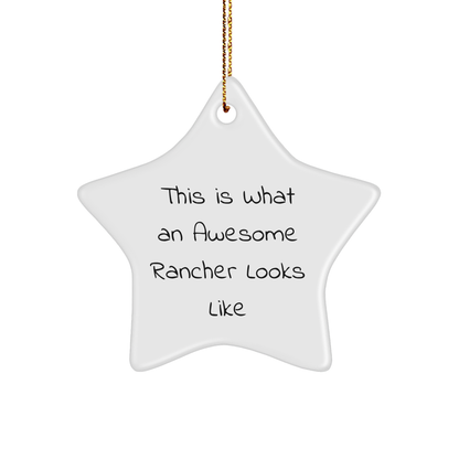 Rancher Gifts from Friends and Family - 'This Is What An Awesome Rancher Looks Like' Star Ornament for Christmas - Image 1