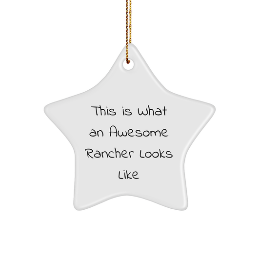 Rancher Gifts from Friends and Family - 'This Is What An Awesome Rancher Looks Like' Star Ornament for Christmas - Image 1