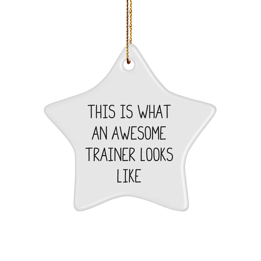 Funny Trainer Gifts from Men for Christmas - This Is What An Awesome Trainer Looks Like Star Ornament, Gifts for Trainers - Image 1