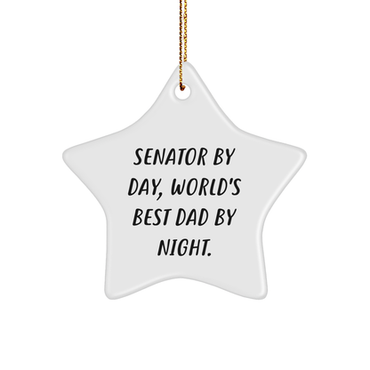 Senator Gifts by Day, Star Ornament by Night, Funny Christmas Unique Gifts from Dad for Senator - Image 1