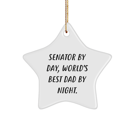 Senator Gifts by Day, Star Ornament by Night, Funny Christmas Unique Gifts from Dad for Senator - Image 1