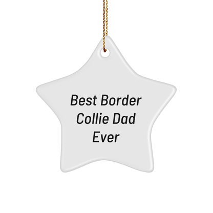 Funny Border Collie Dog Gifts, Best Dad Ever Star Ornament, Gifts from Family for Border Collie Dog Lovers at Christmas Unique Gifts - Victory Thru Vision 