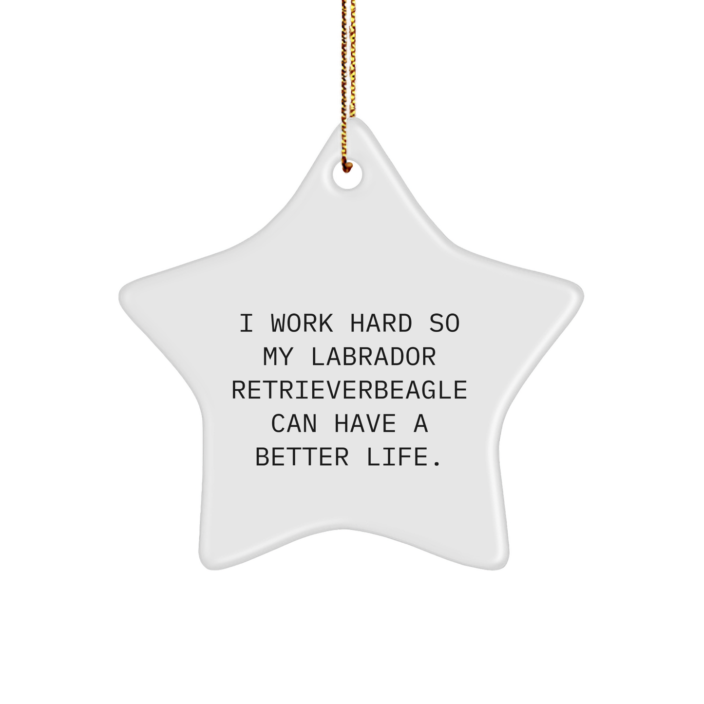 Labrador Retriever Dog Gifts, Inspirational Quote Star Ornament, Gifts from Men to Family for Christmas - Victory Thru Vision 