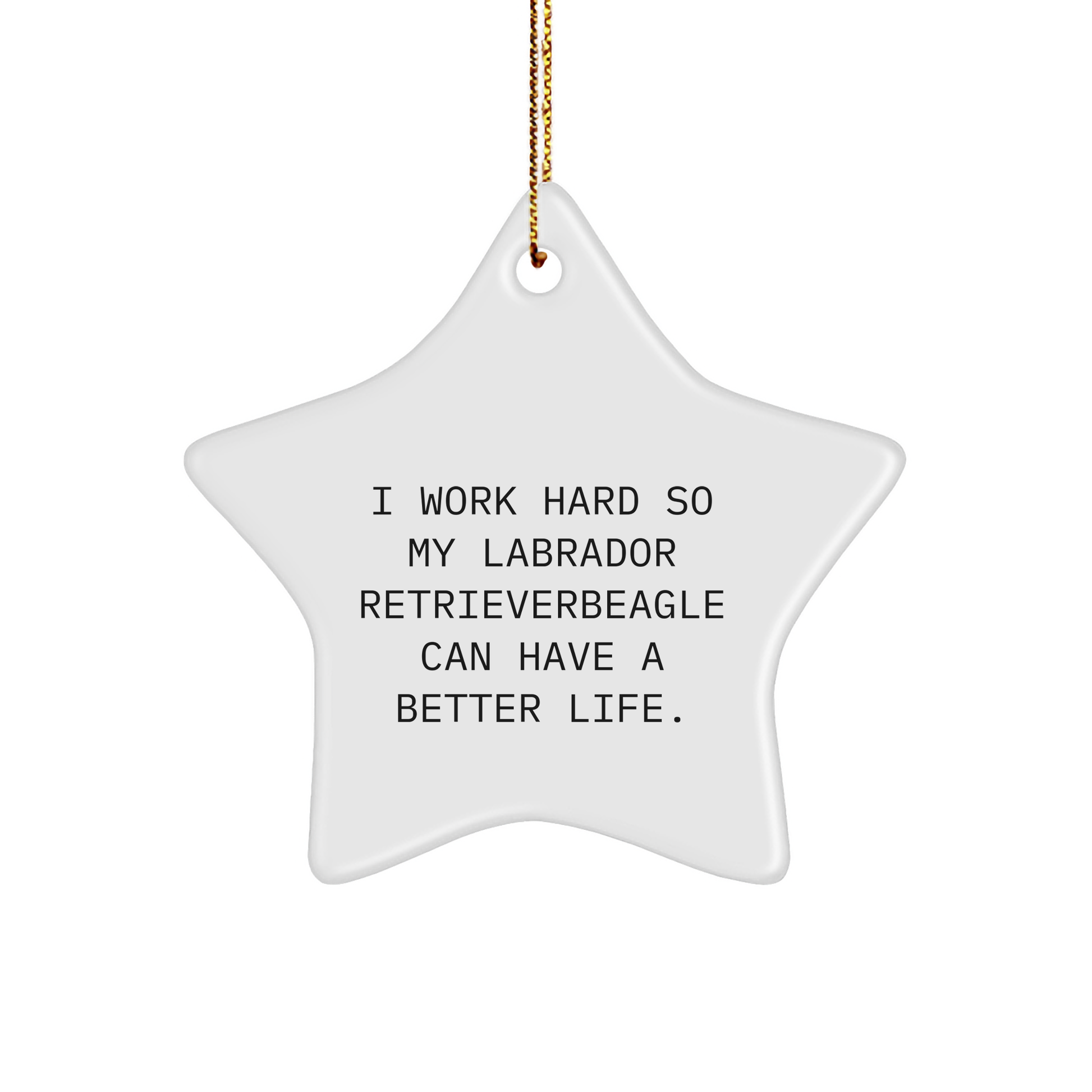 Labrador Retriever Dog Gifts, Inspirational Quote Star Ornament, Gifts from Men to Family for Christmas - Victory Thru Vision 