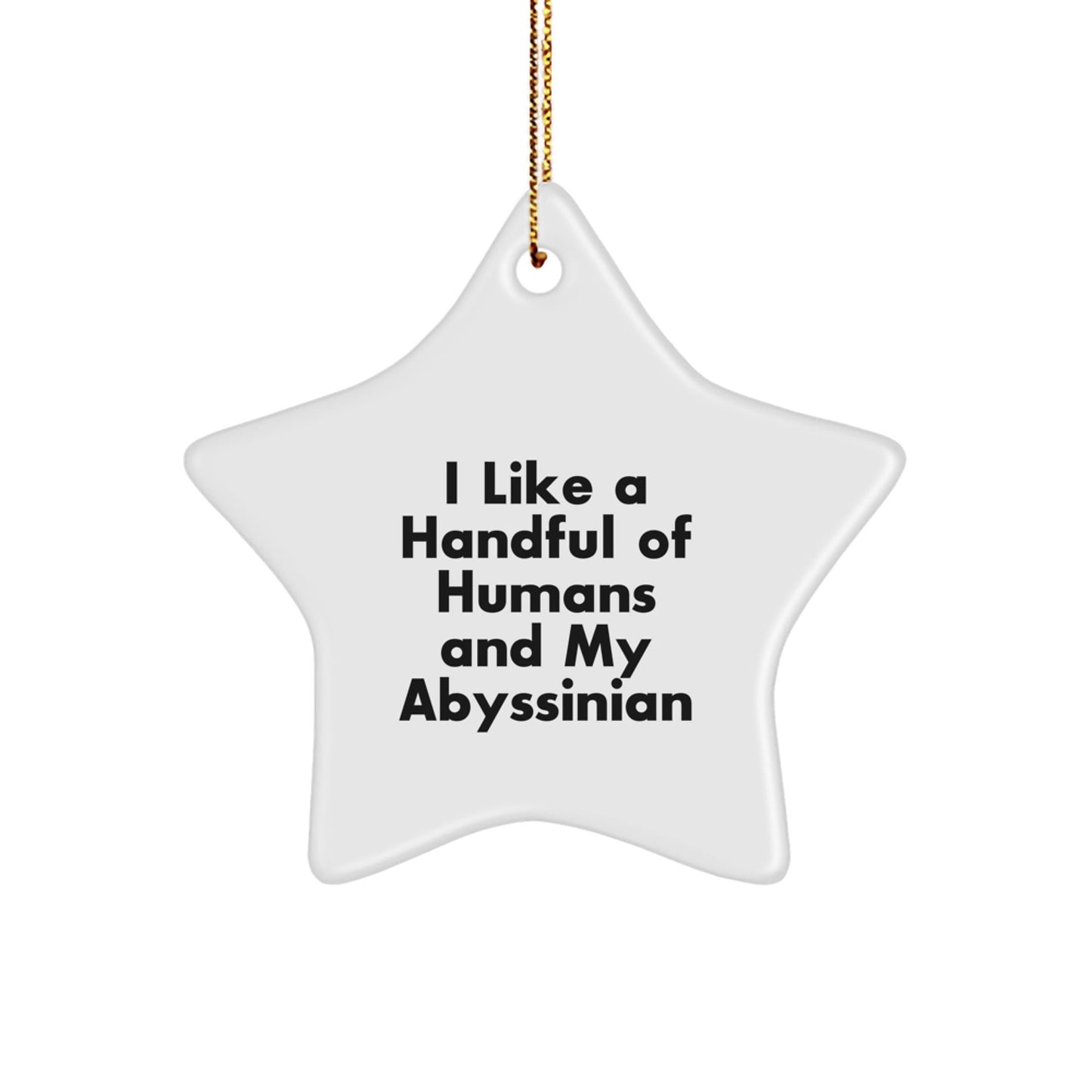 Abyssinian Cat Lovers' Delight, Funny Star Ornament Gifts from Friends for Family, 'I Like A Handful Of Humans And My Abyssinian', Christmas Unique Gifts - Victory Thru Vision