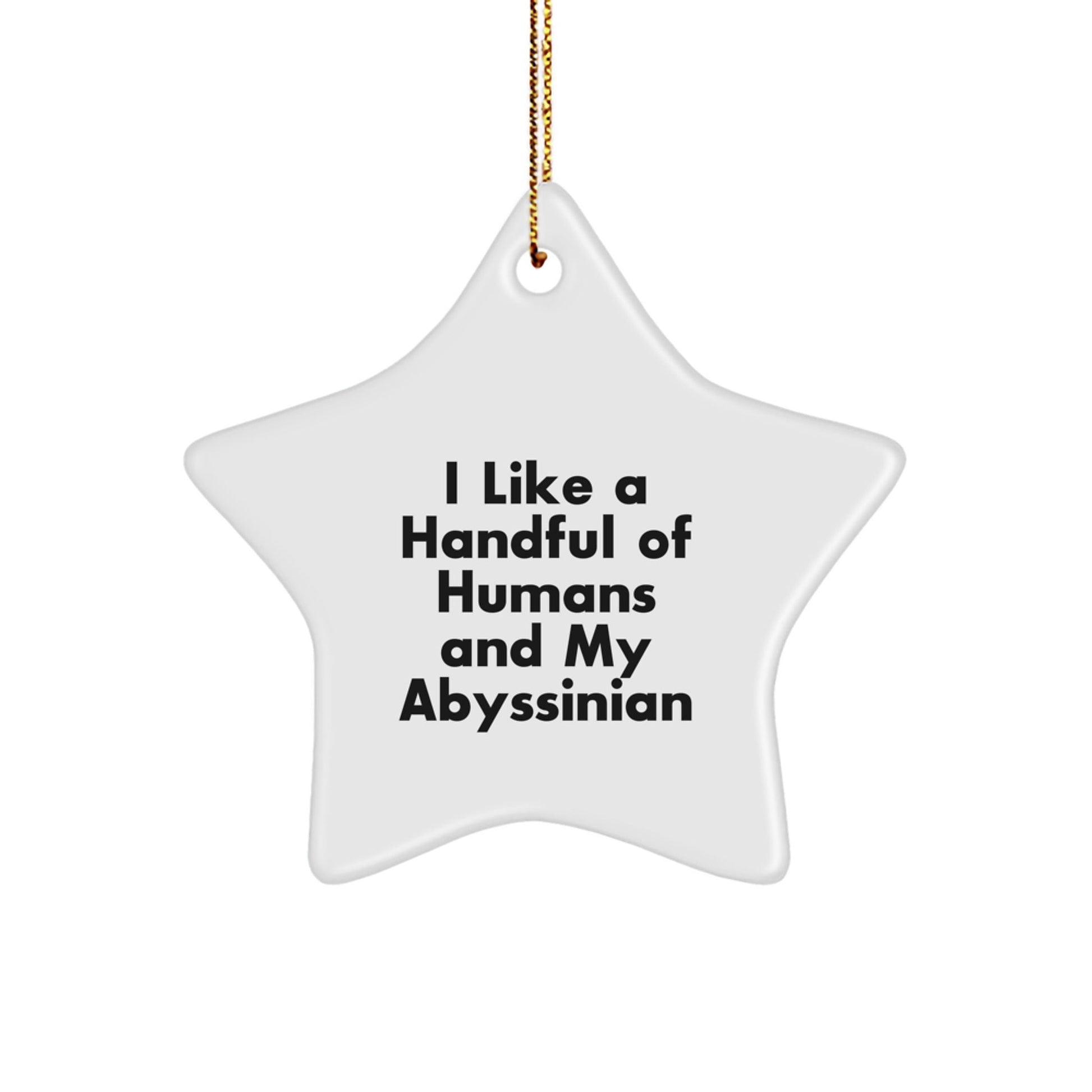 Abyssinian Cat Lovers' Delight, Funny Star Ornament Gifts from Friends for Family, 'I Like A Handful Of Humans And My Abyssinian', Christmas Unique Gifts - Victory Thru Vision