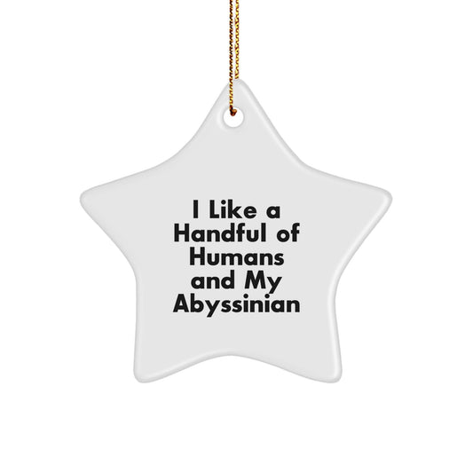 Abyssinian Cat Lovers' Delight, Funny Star Ornament Gifts from Friends for Family, 'I Like A Handful Of Humans And My Abyssinian', Christmas Unique Gifts - Victory Thru Vision