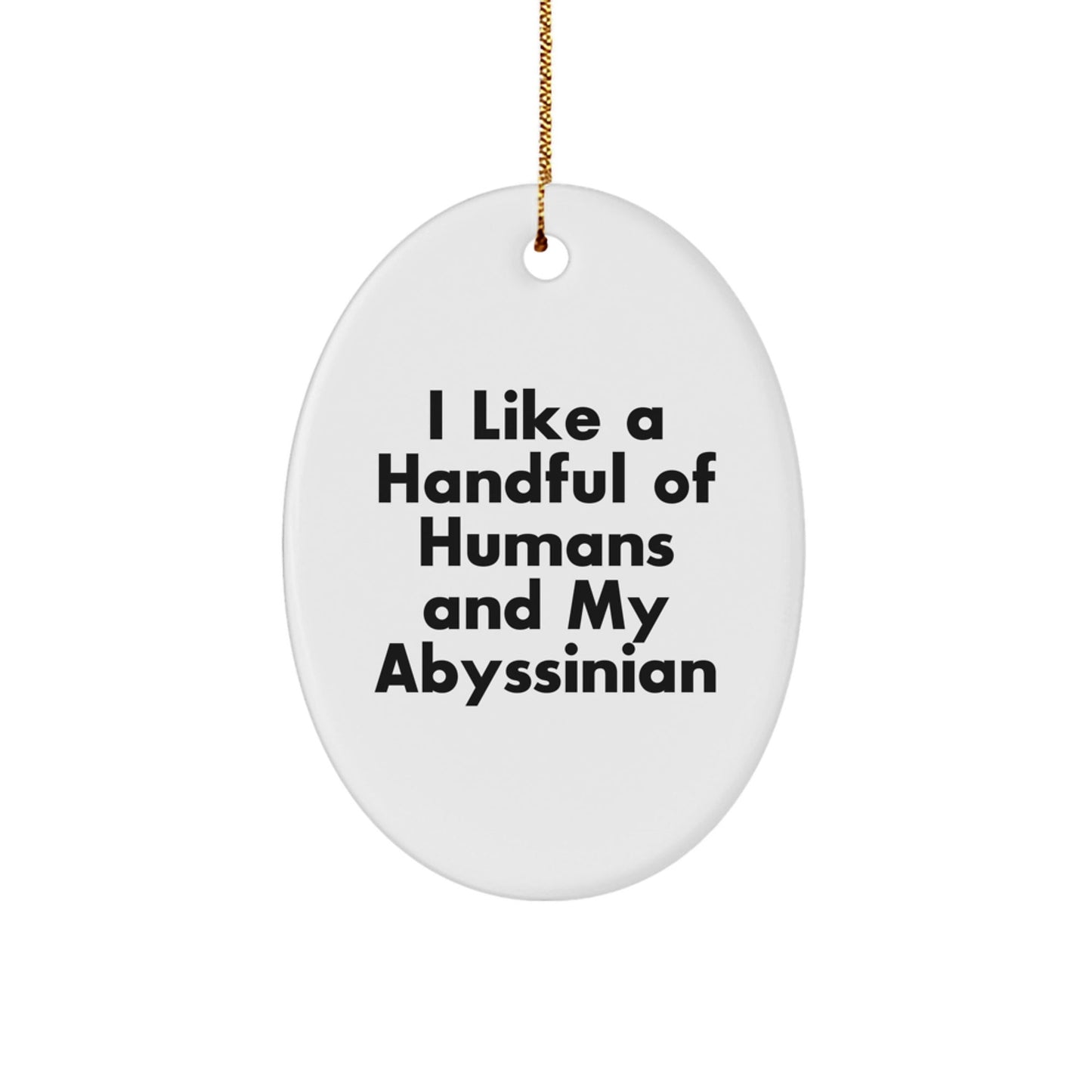 Abyssinian Cat Lovers Gifts from Friends for Men, Fun Oval Ornament, I Like A Handful Of Humans And My Abyssinian, Christmas Unique Gifts - Victory Thru Vision