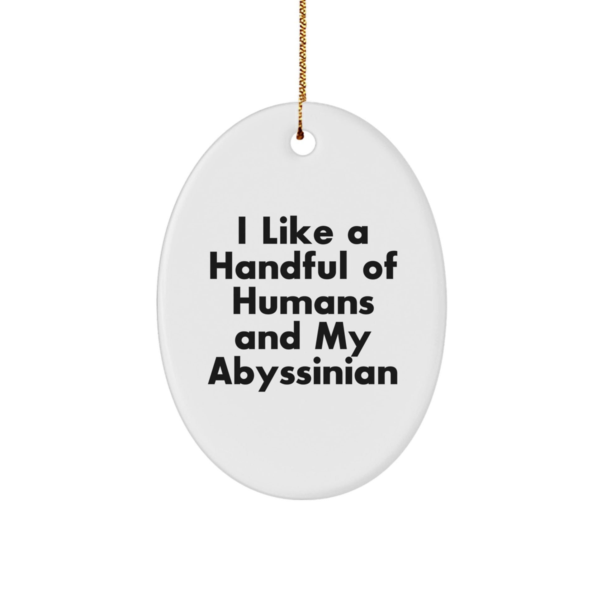 Abyssinian Cat Lovers Gifts from Friends for Men, Fun Oval Ornament, I Like A Handful Of Humans And My Abyssinian, Christmas Unique Gifts - Victory Thru Vision