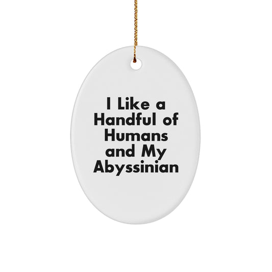 Abyssinian Cat Lovers Gifts from Friends for Men, Fun Oval Ornament, I Like A Handful Of Humans And My Abyssinian, Christmas Unique Gifts - Victory Thru Vision