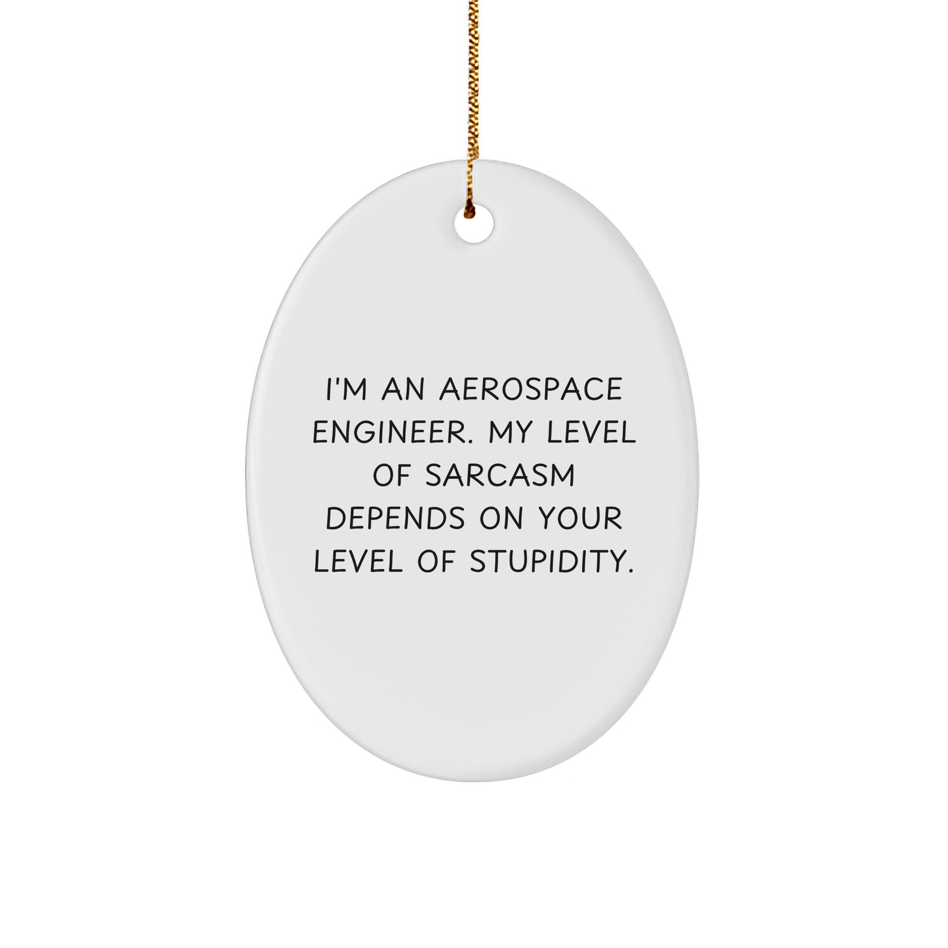 Aerospace Engineer Gifts from Friends, Oval Ornament with Funny Sarcasm Quote for Christmas - Victory Thru Vision 