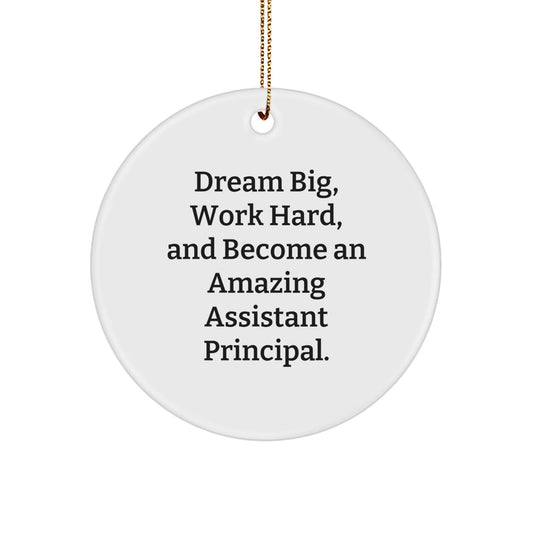 Assistant Principal Holiday Gift, Dream Big, Work Hard, and Become Amazing, Christmas Circle Ornament, Gifts from Friends to Assistant Principal - Victory Thru Vision