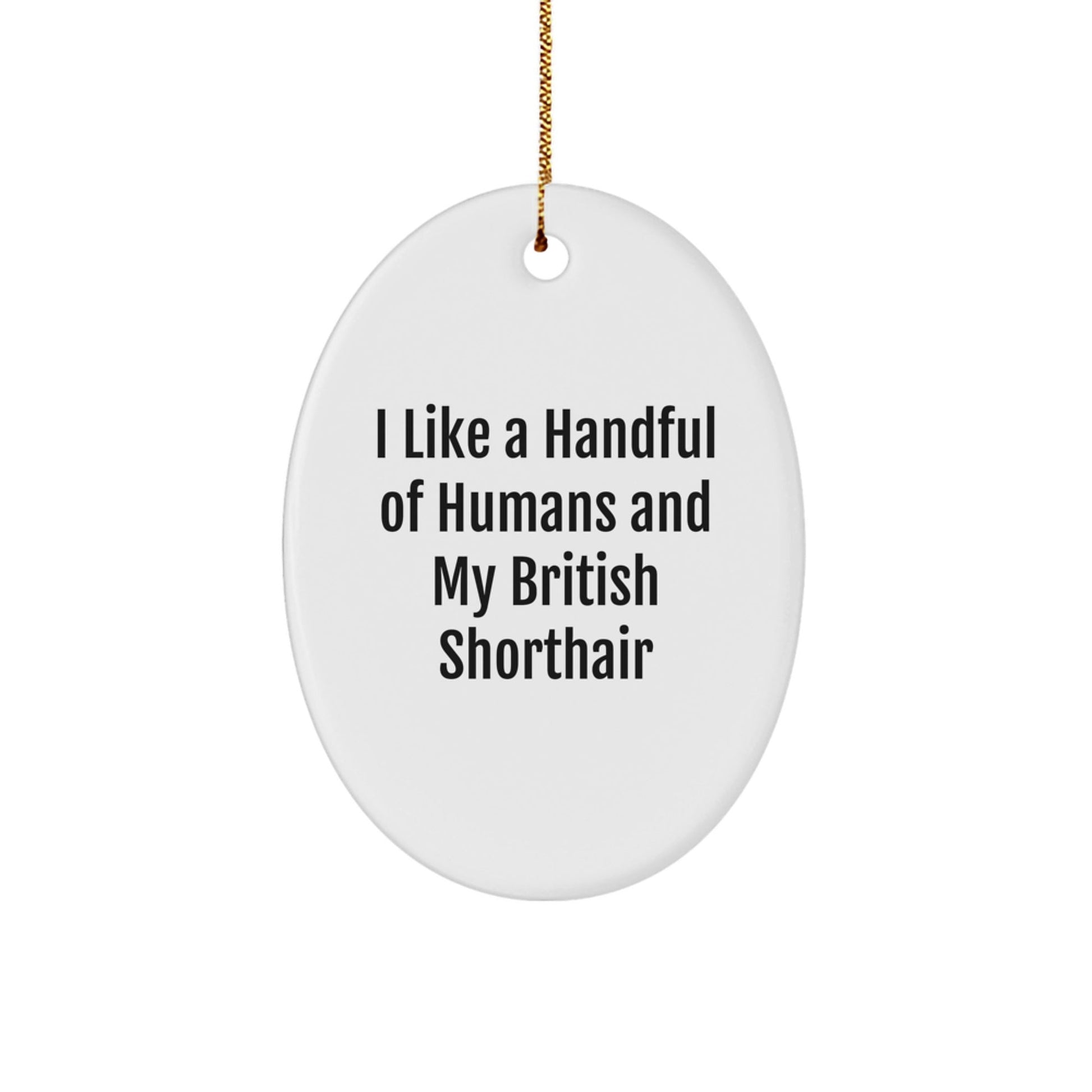 British Shorthair Cat Gifts, Funny Quote Oval Ornament for British Shorthair Cat Lovers, Gifts from Friends for Christmas Unique Gifts - Victory Thru Vision