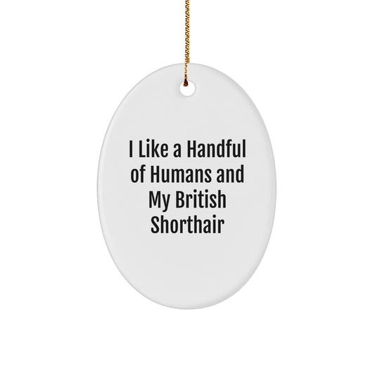 British Shorthair Cat Gifts, Funny Quote Oval Ornament for British Shorthair Cat Lovers, Gifts from Friends for Christmas Unique Gifts - Victory Thru Vision