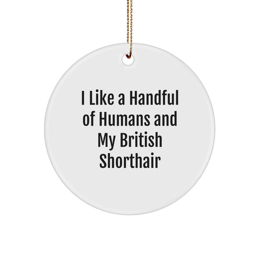 British Shorthair Cat Lovers Gifts from Men to Friends - I Like A Handful Of Humans And My British Shorthair, Christmas Circle Ornament - Victory Thru Vision