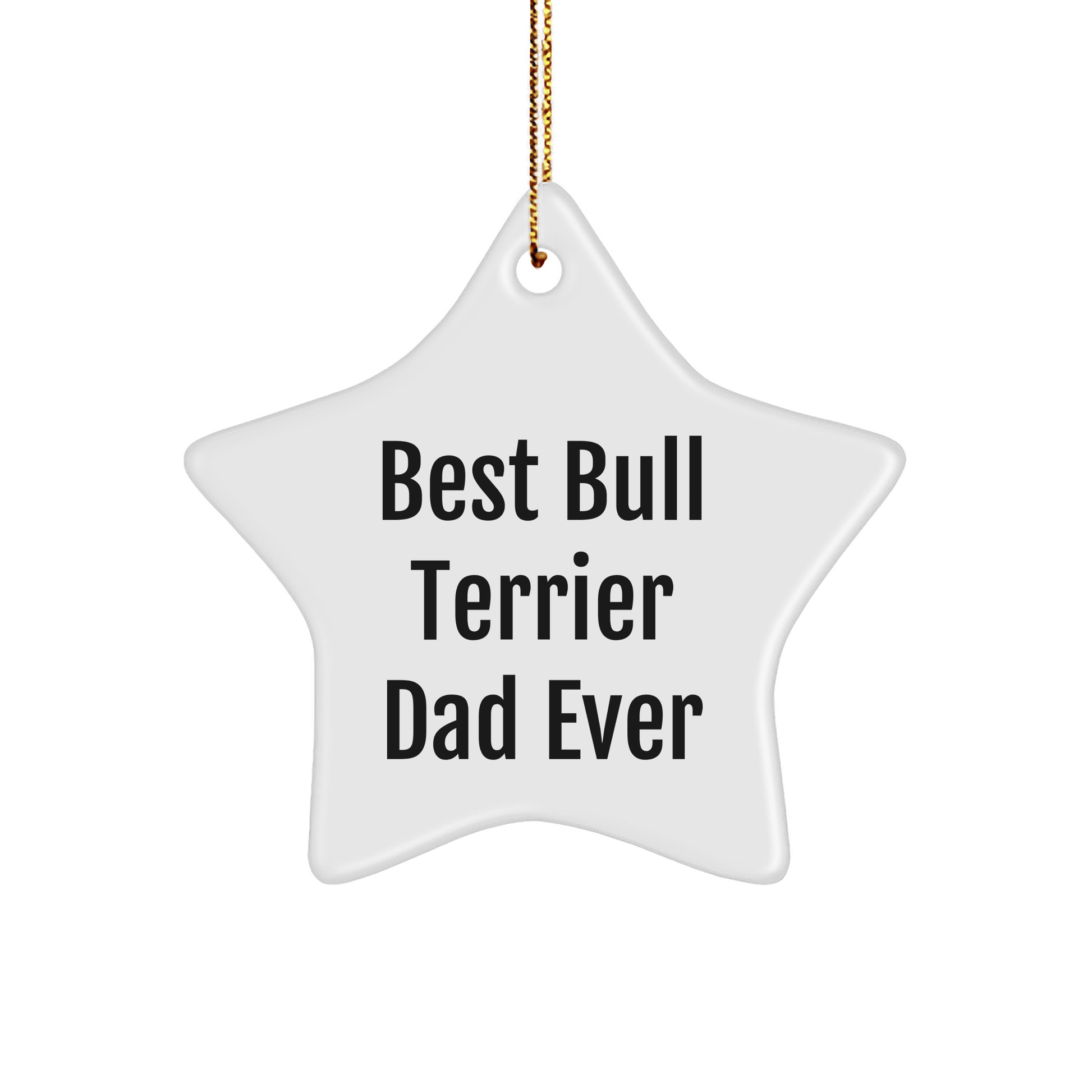 Bull Terrier Dog Star Ornament Gifts from Best Bull Terrier Dad Ever, Funny Christmas Star Ornament for Bull Terrier Dog Lovers, Gifts for Bull Terrier Dog Owners - Victory Thru Vision 