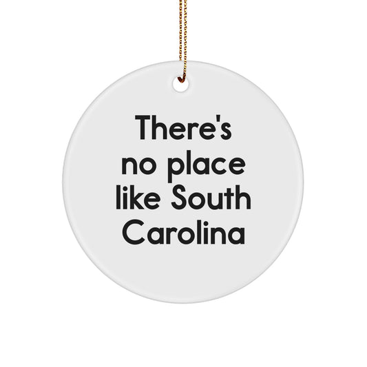Funny South Carolina Circle Ornament for Christmas Unique Gifts from Friends and Family - Image 1