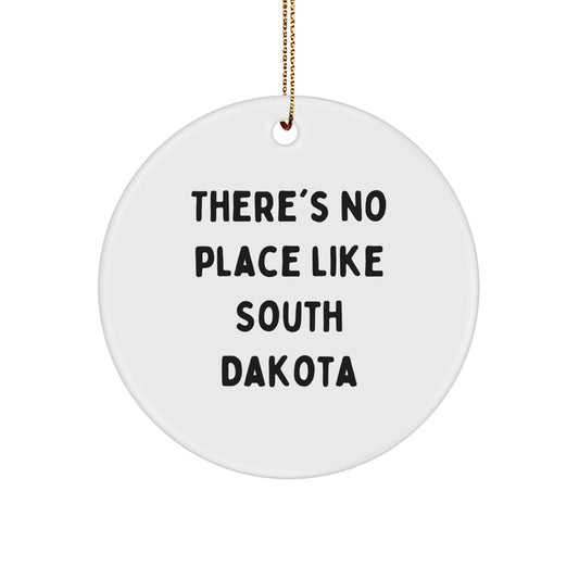 South Dakota Circle Ornament Gifts from Friends and Family for Christmas - 'There's No Place Like South Dakota' Funny Quote Christmas Unique Gifts - Image 1