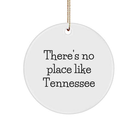 Funny Tennessee Gifts from Friends and Family for Christmas Unique Circle Ornaments - Image 1