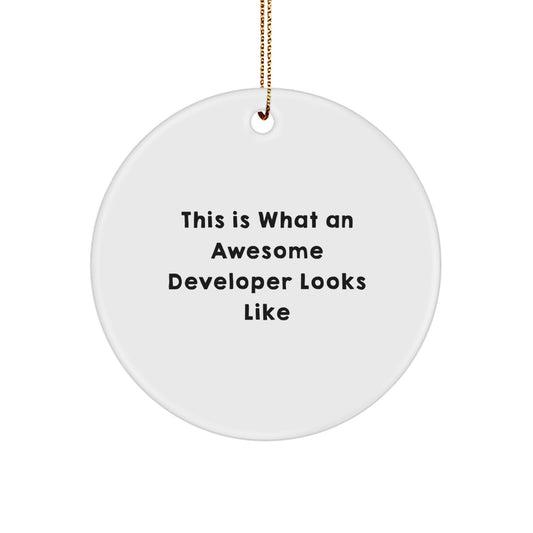 Funny Developer Gifts from Friends, This Is What An Awesome Developer Looks Like Circle Ornament, Christmas Unique Gifts for Developer - Image 1